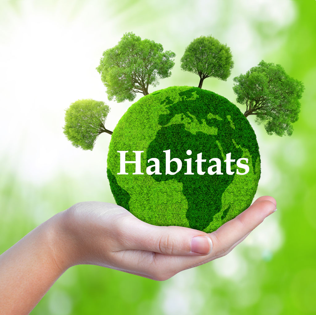 Habitats