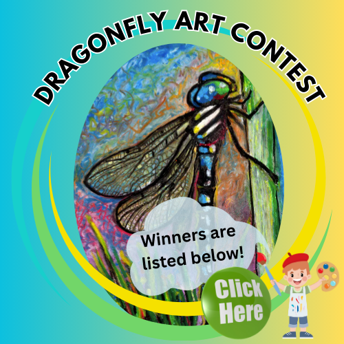 dragonfly art contest WINNERS2