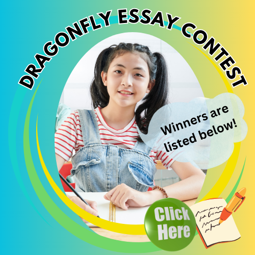 dragonfly essay contest winners2
