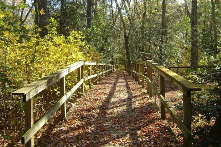 wooden bridge