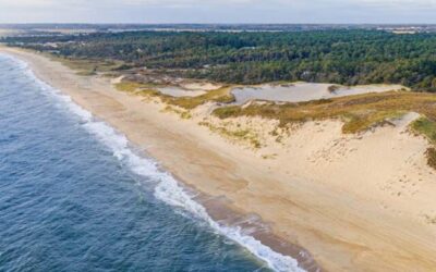 The Living Shoreline: Exploring the Ecology and Resilience of Delaware’s Sand Dunes