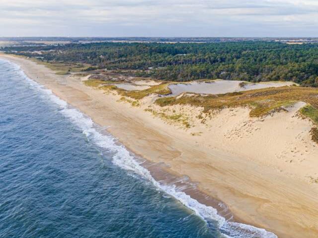 The Living Shoreline: Exploring the Ecology and Resilience of Delaware’s Sand Dunes