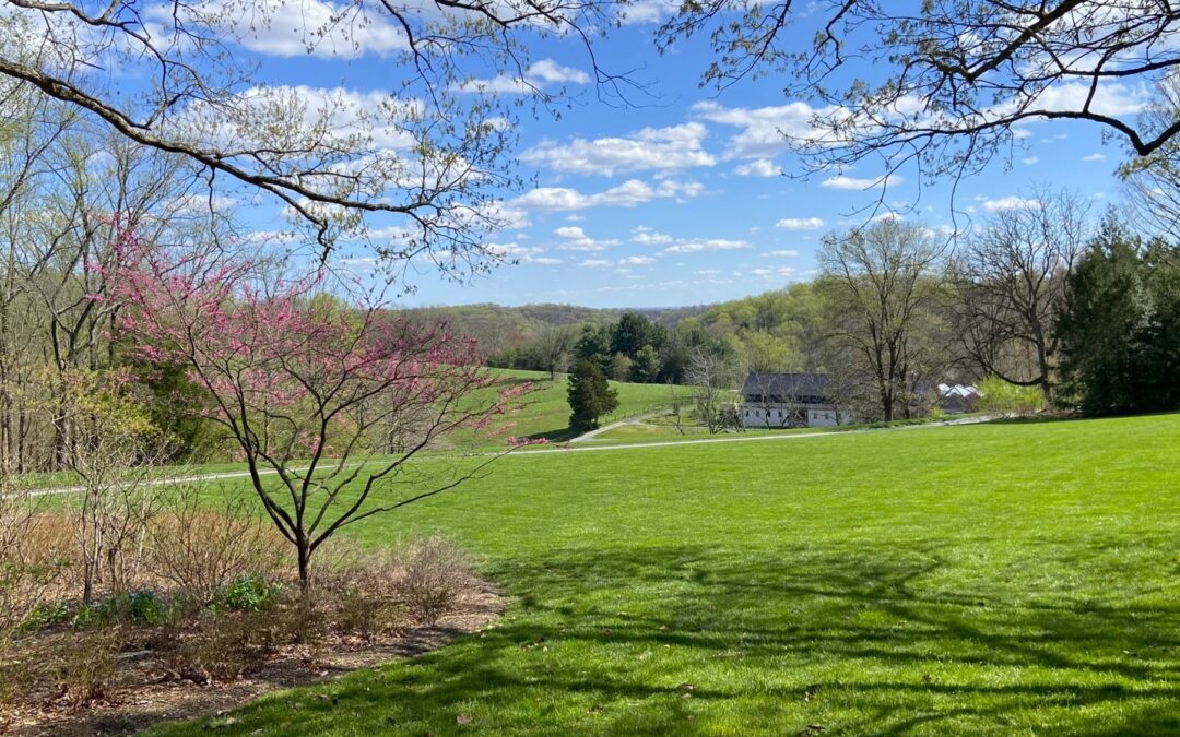 Beyond the Lawn: Reconnecting Delaware’s Fragmented Habitats