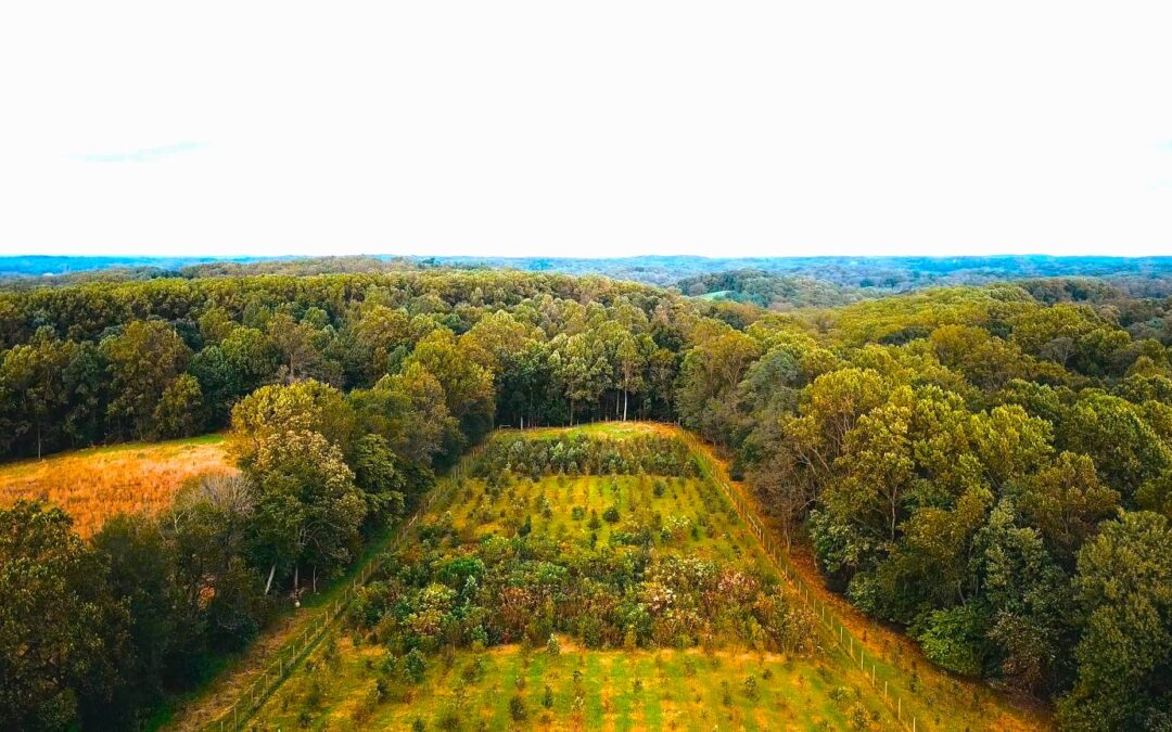 A Million Trees & Beyond: Building Delaware’s Natural Infrastructure