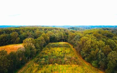 A Million Trees & Beyond: Building Delaware’s Natural Infrastructure
