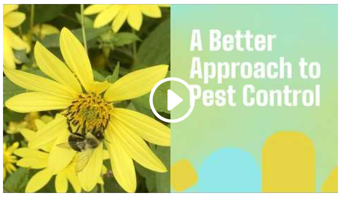 A Better Approach to Pest Control