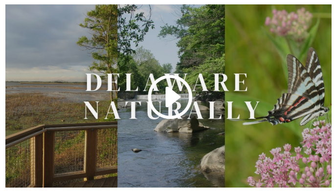 Delaware Naturally
