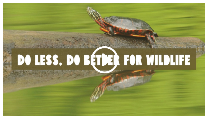 Do Less Do Better for Wildlife