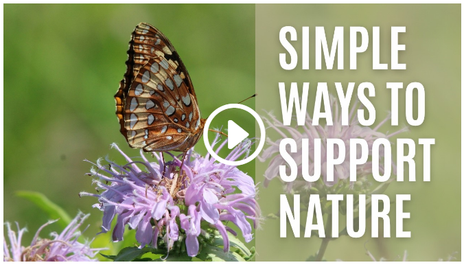 Simple Ways to Support Nature